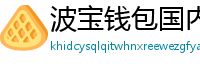 波宝钱包国内下载